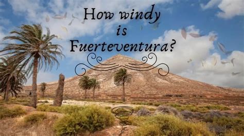 is fuerteventura windy in november.